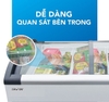 TỦ ĐÔNG KÍNH 300L 400L 500L