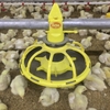 hệ thống máng ăn tự động cho gà 1