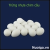 TRỨNG BỒ CÂU GIẢ BẰNG NHỰA