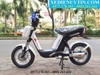 Xe đạp điện Nijia 2020 - 01