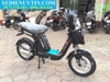Xe đạp điện Nijia 2020 - 08