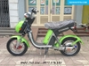 Xe đạp điện Nijia 2015 nhập khẩu - 02