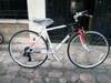 crossbike-fortina-ft7007-xe-dap-the-thao-duong-pho-nhat-ban