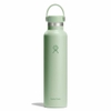 Bình giữ nhiệt Hydro Flask Standard Flex Cap 24OZ 710ml S24CSX