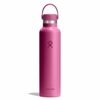 Bình giữ nhiệt Hydro Flask Standard Flex Cap 24OZ 710ml S24CSX