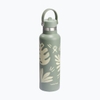 Bình giữ nhiệt Hydro Flask Standard Flex Straw Cap 21 OZ 621 ML S21CFS3 Spring Limited Edition 2025
