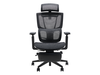 Ghế Công Thái Học Epione ErgoChair Pro 2.0