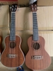 Ukulele WU65 - Series vip - Nhạc cụ miền tây