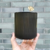 Starbucks China 2020 Classic Black Gold Nameplate Vertical Striped Mug Stir Bar C182