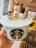 Polar Bear Starbucks 14Oz C162