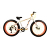 Xe thể thao Fatbike bánh xe 26