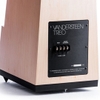 Vandersteen Treo CT