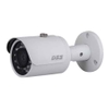 Camera IP Dahua DSS DS2130FIP