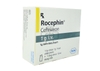 Rocephin I.V. 1g