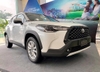 gia-xe-toyota-cross-2023-cxg-trang-nt-do