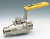 Stainless Steel Ball Valve Male End Type 800