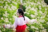 Chụp ảnh hanbok dịu dàng thướt tha tại Hà Nội