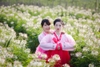 Chụp ảnh hanbok dịu dàng thướt tha tại Hà Nội