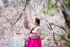 Chụp ảnh hanbok đẹp giá rẻ nhất tại Hà Nội