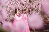 Chụp ảnh Hanbok – Niềm đa mê của giới trẻ