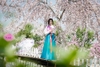 Trang phục truyền thống Hàn Quốc Hanbok