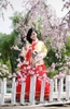 Trang phục truyền thống Hàn Quốc Hanbok