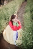 Trang phục truyền thống Hàn Quốc Hanbok