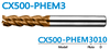 cx500-phem3010