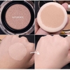 Phấn Nước Tinh Chất Keo Ong CNP Propolis Ampule In Cushion (Kèm Lõi)