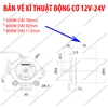 Combo Motor 12V-24V 800W + Điều Khiển