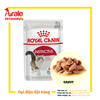 PATE ROYAL CANIN INSTINCTIVE – MÈO TRƯỞNG THÀNH