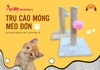 TRỤ CÀO MÓNG MÈO ĐƠN