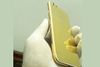 Điện thoại mạ vàng_iphone 6 độ lên 7 mạ vàng 14K