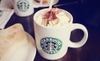 Ly sứ starbucks coffee