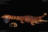 Mô Hình Cá Sấu Cổ Đại Sarcosuchus Imperator REBOR tỉ lệ 1/35