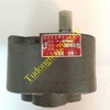Đầu Bơm CB-B10 Bơm dầu bánh răng thuỷ lực