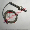 Can nhiệt WZP291