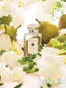 JO MALONE Exclusive Limited Edition English Pear & Freesia Eau de Parfum 100ml
