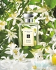 Jo Malone Orange Blossom Eau de Parfum 100ml