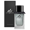 Mr. Burberry EDT