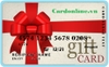 GIFT VISA CARD