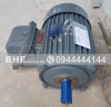 Quạt Đứng Công Nghiệp Motor Chống Cháy Nổ BHF-700DCN