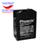 Pin Phoenix