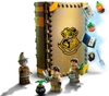 Đồ chơi LEGO Harry Potter 76384 - Lớp học Thực Vật (LEGO 76384 Hogwarts Moment: Herbology Class)