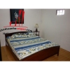 cho thuê căn hộ Serviced Apartment đường lê thánh tôn,quận 1