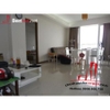 cho thuê căn hộ Saigon Airport Plaza,đường bạch đằng, quận tân bình
