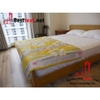 cho thuê căn hộ Saigon Airport Plaza Quận tân bình, lầu 7, giá 850$