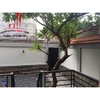 cho thuê biệt thự khu 204 nguyễn văn hưởng, quận 2, giá cho thuê:2000$/tháng