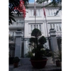 cho thuê biệt thự sân vườn quận 2, phường thảo điền giá cho thuê:4000$/tháng