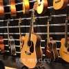 Nên Mua Đàn Guitar Martin Deadnought Junior hay Taylor GS Mini